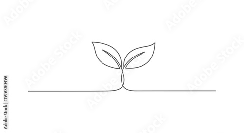 Minimalist single drawing of a young plant sprouting with two leaves on a white background