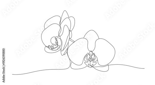 Elegant Orchid Flowers Silhouette Drawn in Minimalist Continuous Art Style