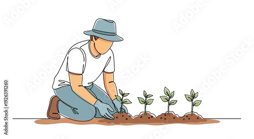 Gardener planting young seedlings in a row on a sunny day, concept of growth