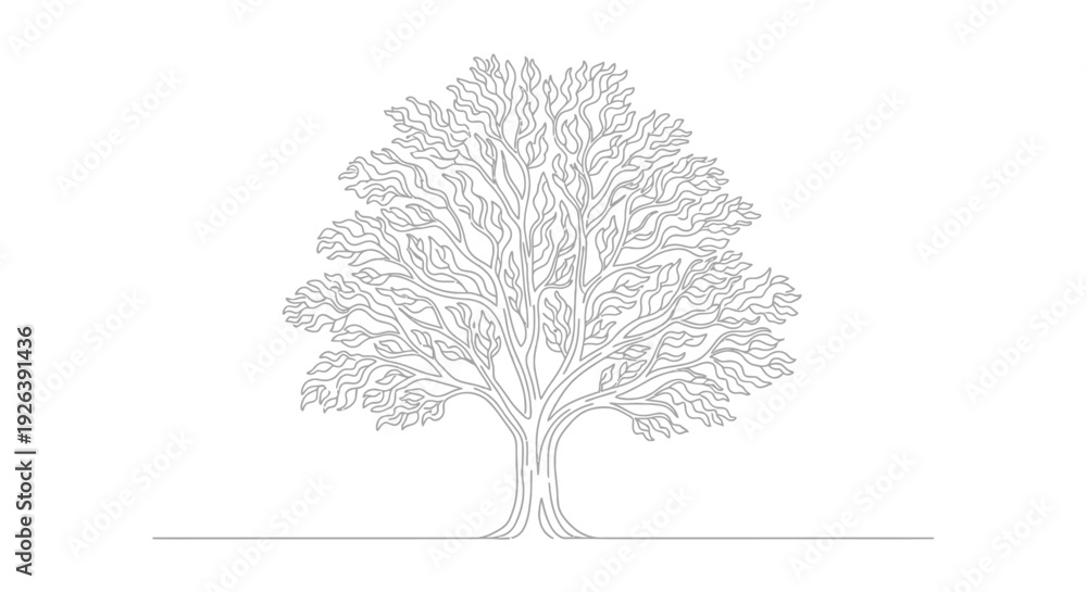 Fototapeta premium A detailed line drawing of a large, mature deciduous tree with a full canopy of intricate branches and leaves, set against a plain white background.