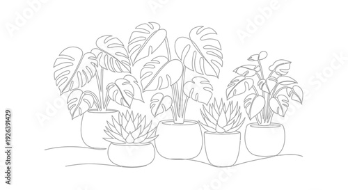 Minimalist single art drawing of various potted houseplants, vector illustration