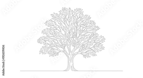 A detailed line drawing of a large, mature deciduous tree with a full canopy of intricate branches and leaves, set against a plain white background.