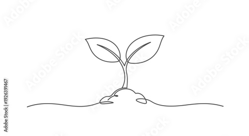 A minimalist line drawing of a young plant seedling emerging from the soil with two leaves.