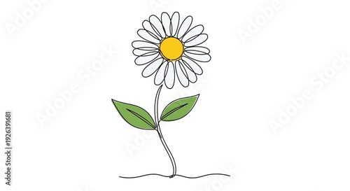 A simple, charming illustration of a single daisy flower with a yellow center and white petals, set against a plain white background.