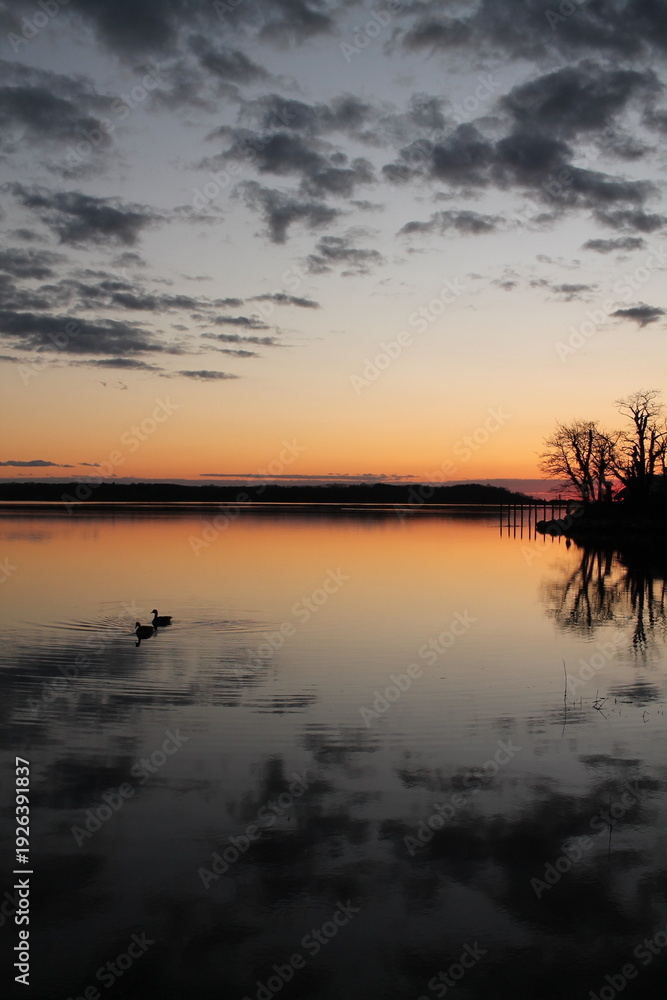 Fototapeta premium Silhouette Two Ducks at Sunset, Stony Brook NY