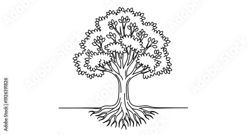 A detailed black and white line drawing of a mature tree with extensive roots visible above ground.