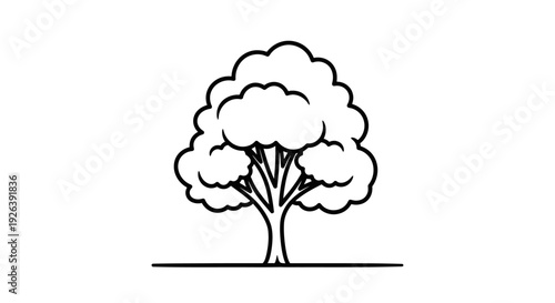 A simple black and white line drawing of a deciduous tree with a full canopy of leaves.