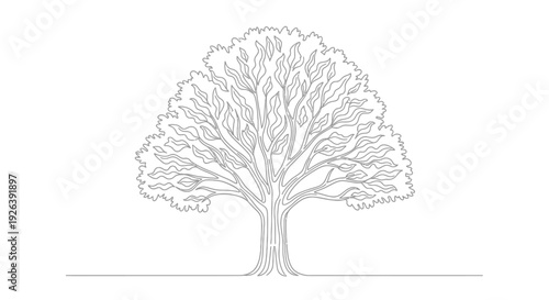 A detailed line drawing of a large, mature deciduous tree with a full, leafy canopy and a sturdy trunk.