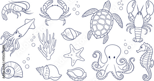 Collection of sea animal outlines featuring octopus sea turtle lobster crab squid and seashells for nautical underwater ocean life design projects
