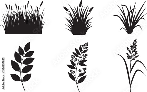 Set of black grass and leaf silhouettes featuring marsh reeds wheat stalks wild meadow plants and decorative botanical branches for design