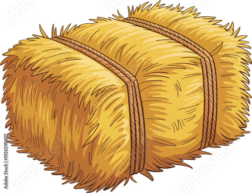 Rectangular bale of hay tied with ropes isolated on white background