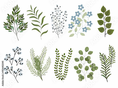 Botanical illustration featuring various leafy branches and delicate blue flowers