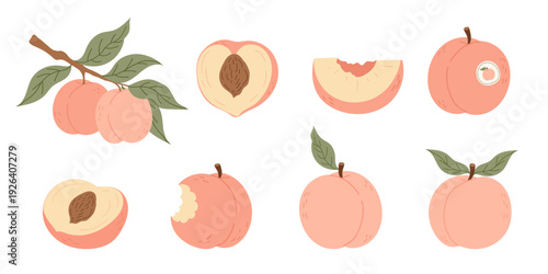 Juicy peach set with whole fruit, bitten, halved peach with pit, and slice. Summer fresh sweet fruit collection in flat vector style, isolated on white background.