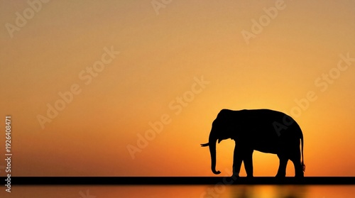 Thai elephant in tropical forest at golden sunset