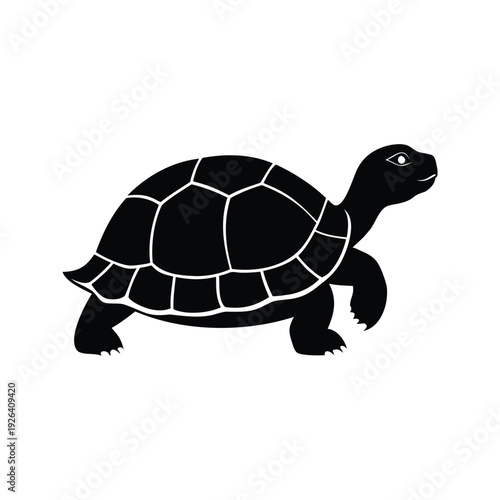 tortoise silhouette vector illustration, Adorable turtle silhouette vector illustration with segmented shell design for nature and wildlife projects
