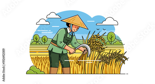Farmer Harvesting Rice in the Field.