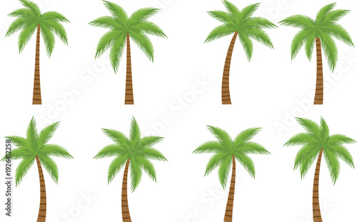 Set of various green tropical palm trees with brown trunks, exotic summer beach coconut plant icons, flat vector nature illustration,