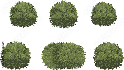 Green bush top view collection, detailed garden shrub elements isolated on white background landscape design vector set