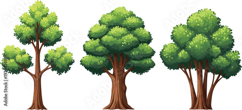 Set of three various green deciduous trees with brown trunks, flat vector cartoon nature collection, forest plants icons on white background,