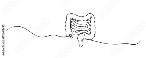 Hand drawn continuous line illustration of human intestines anatomy. Single line representing digestive system, internal organ, medical science, and gut health.