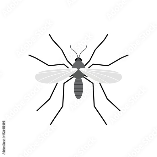 Simple Flat Design Mosquito Vector Illustration Isolated on White Background