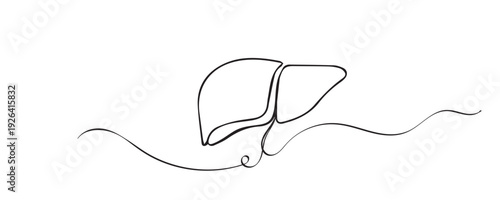 Hand drawn continuous line illustration of human liver anatomy. Single line representing internal organ, metabolism, medical science, and human health.