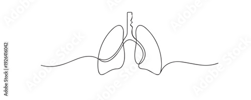 Single line drawing lungs.continuous line drawing of human lungs anatomy.respiratory system concept.medical one line vector illustration