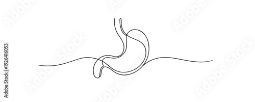 Single line drawing stomach.continuous line drawing of human stomach anatomy.digestive system concept.medical one line vector illustration