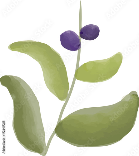 Olive Branch Watercolor Illustration Isolated Botanical Clipart