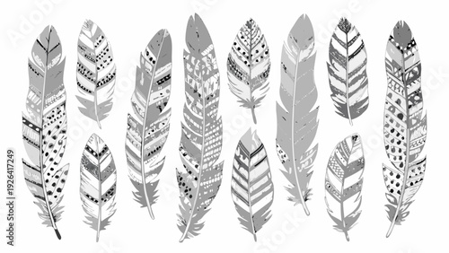 A collection of intricately patterned feathers in grayscale tones