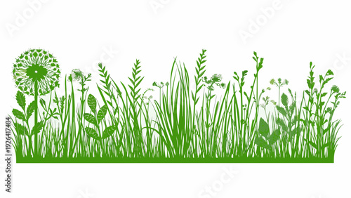 A vibrant green illustration depicting a variety of wildflowers and grasses