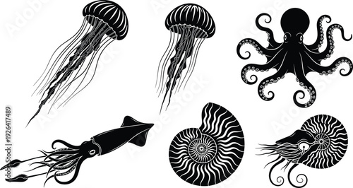 Detailed Marine Life Silhouette Set Featuring Jellyfish, Octopus, Squid, Nautilus Shell, and Ancient Sea Creatures for Nautical and Ocean Science Designs
