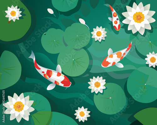 Colorful koi fish swim amongst white water lilies and green lily pads