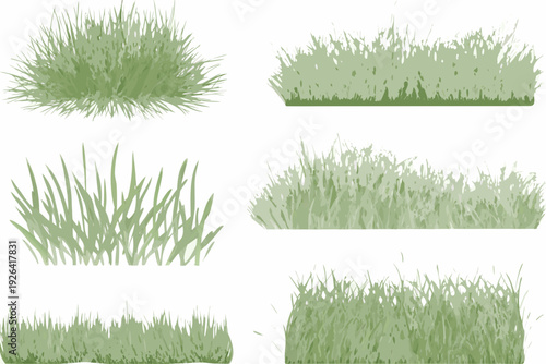 Collection of green grass patches and clumps isolated on white
