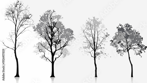 Silhouetted trees against a white background with subtle reflections