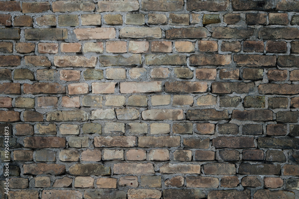 Obraz premium Old brick wall of a building, the photo shows the texture of yellow-brown bricks of the building's facade