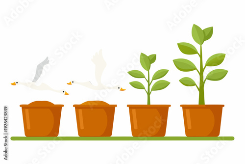 Two geese flying towards potted plants in a simple colorful illustration