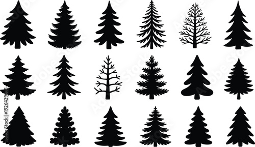 Evergreen pine and fir tree silhouettes collection with various forest shapes isolated on light background black woodland vector set for winter and Christmas design