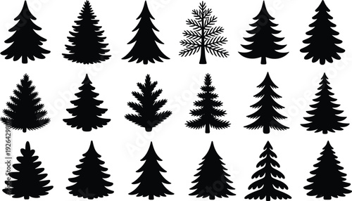 Evergreen pine tree silhouettes collection with detailed fir and spruce shapes isolated on light background black forest vector set for winter and Christmas design
