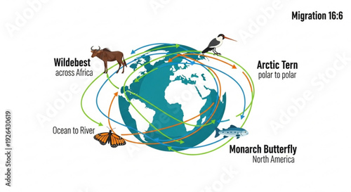 Global animal migration patterns wildebeest arctic tern monarch butterfly and oceanic dolphins migration routes illustrated on earth