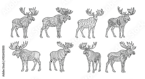 Intricate line art illustration of several moose in various poses