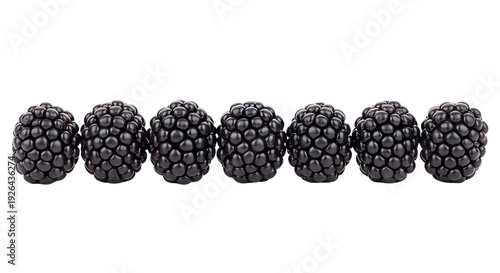 Row of fresh black blackberries aligned horizontally on transparent background