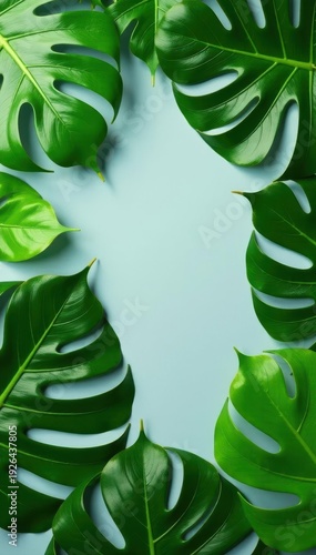  Lush green tropical leaf flatlay, creating a stylish summer pattern on a muted gray surface , nature, leaf background, tropical