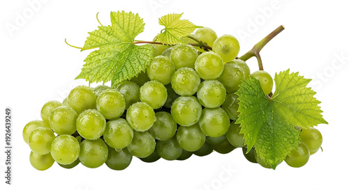 Fresh bunch of green grapes with vine leaves isolated on transparent background