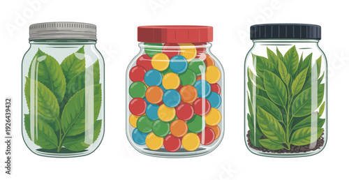 Glass Jars Filled with Green Tea Leaves and Colorful Candy, Editable Vector