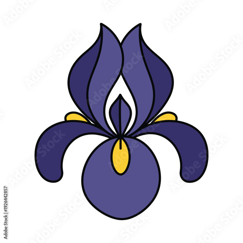 Purple iris flower illustration