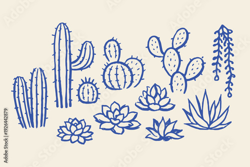 Cactus and succulents doodle set vector illustration