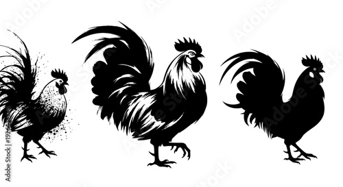 Collection of Three Stylized Roosters in Black and White, Showcasing Distinctive Silhouettes and Artistic Brushstroke Effects