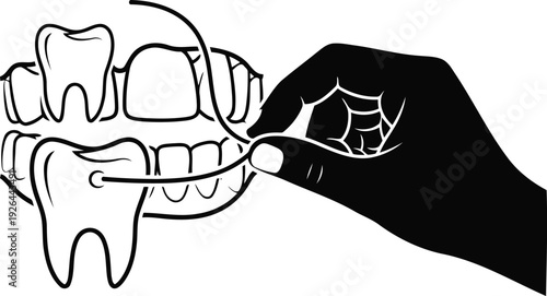 Vector of Hand using dental tool on teeth model for cleaning