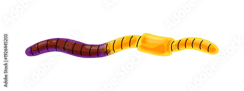 Sour or sweet jelly worm icon. Gummy candy with cola flavor. Soft fruit marmalade. Chewing gelatin confectionery. Funny sugar treat for kids. Flat isolated vector illustration on white background